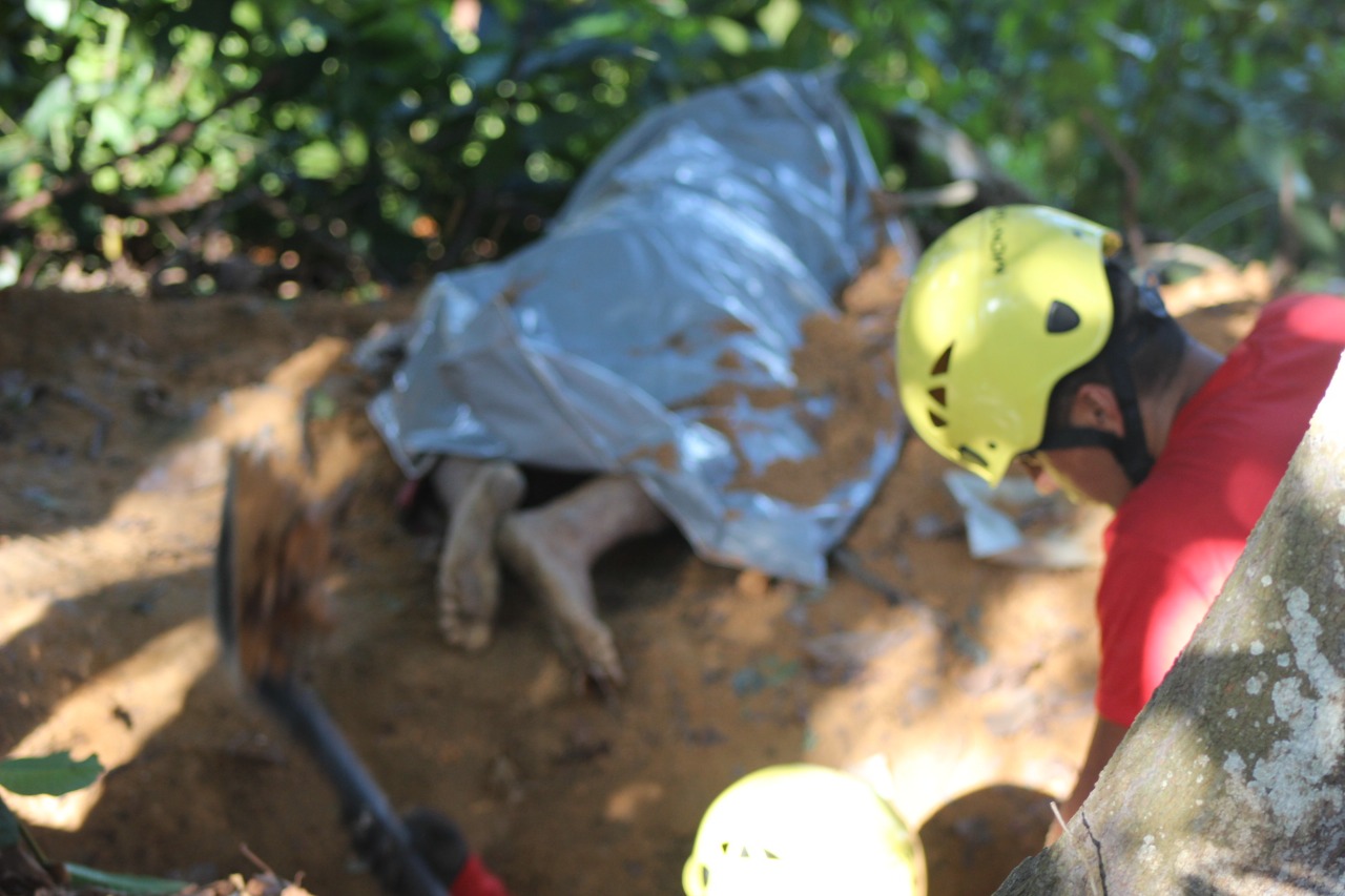 Sem crânio e esfaqueado, corpo é encontrado em cova em bairro de Manaus