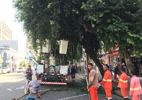 Avenida Eduardo Ribeiro passa por manejo de arborização urbana