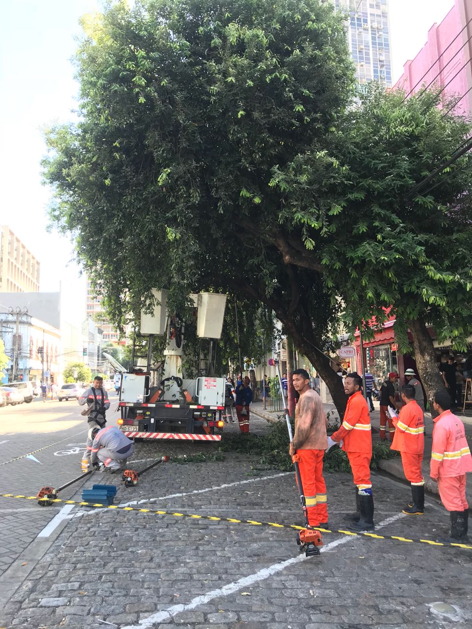 Avenida Eduardo Ribeiro passa por manejo de arborização urbana