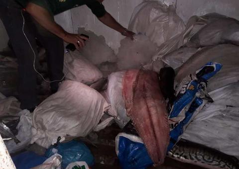 Ipaam apreende carga de pirarucu na orla da Manaus Moderna 