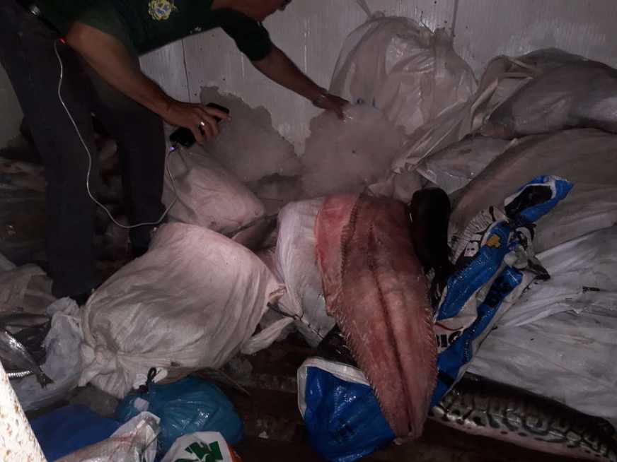 Ipaam apreende carga de pirarucu na orla da Manaus Moderna 