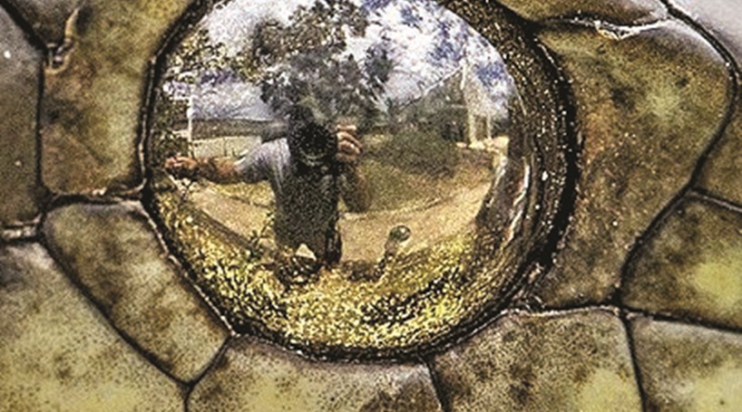 Fotógrafo põe em risco a própria vida ao fazer 'selfie' em olho de cobra venenosa  