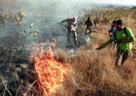 Prefeitura lança campanha de combate às queimadas na Virada Sustentável em Manaus