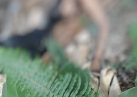 Homem é morto com 14 facadas e suspeitos abandonam corpo em matagal de Manaus 