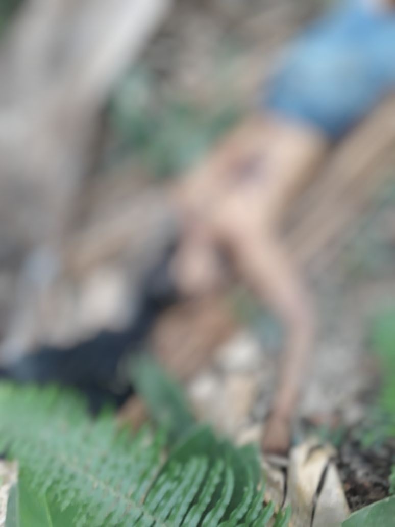 Homem é morto com 14 facadas e suspeitos abandonam corpo em matagal de Manaus 