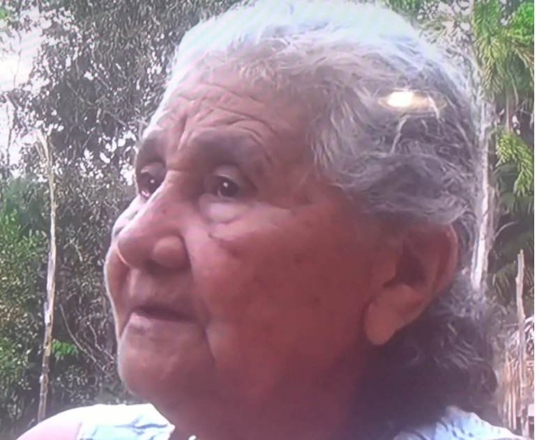 Idosa e criança desaparecidas há 3 dias em mata, são resgatadas no Amazonas