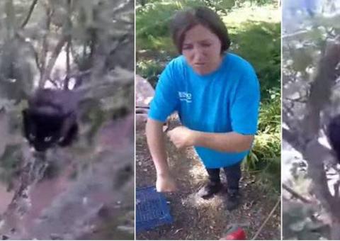 Homem salva gato preso e fica cinco dias em hospital após ser mordido