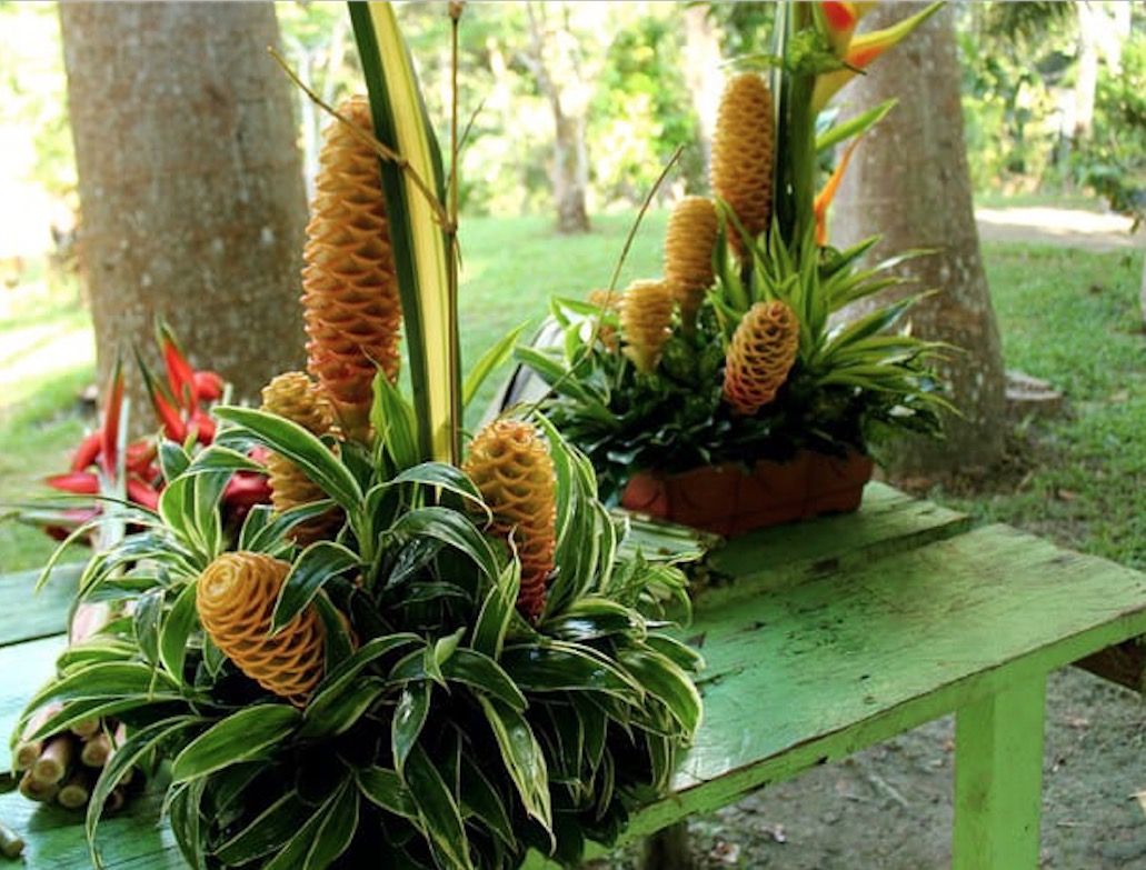 Minicurso ensina a confeccionar arranjos florais com espécies nativas  