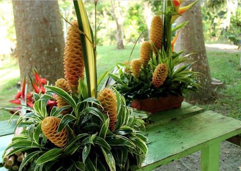 Minicurso ensina a confeccionar arranjos florais com espécies nativas  