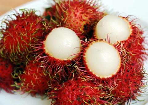 Rambutan previne câncer e faz bem para os ossos. Saiba mais