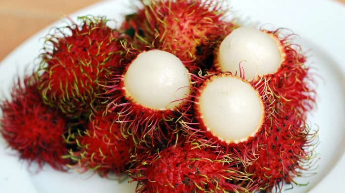 Rambutan previne câncer e faz bem para os ossos. Saiba mais