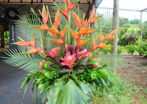 Minicurso gratuito ensina a confeccionar arranjos florais com espécies nativas