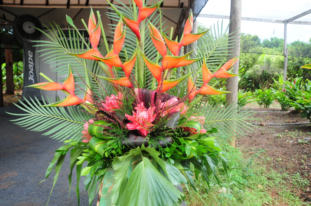 Minicurso gratuito ensina a confeccionar arranjos florais com espécies nativas