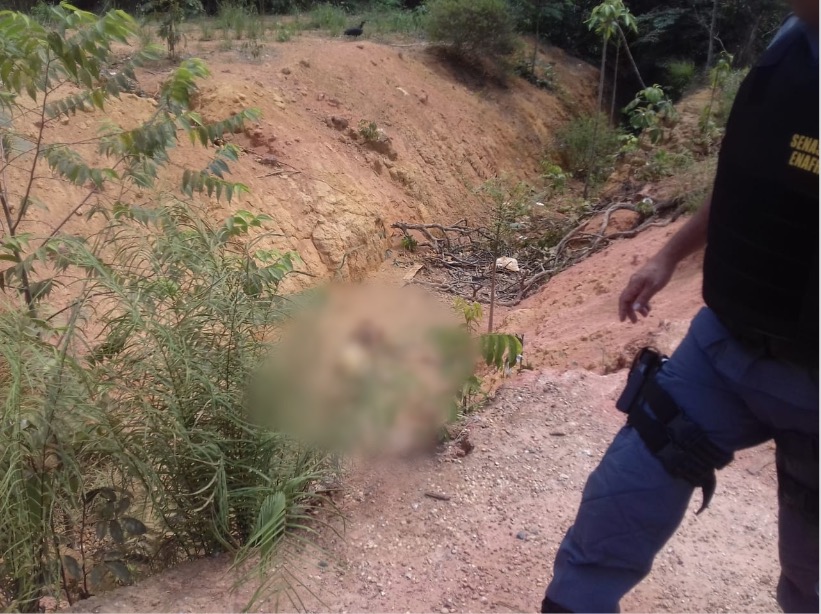 Corpo em decomposição é encontrado próximo à Cidade Universitária