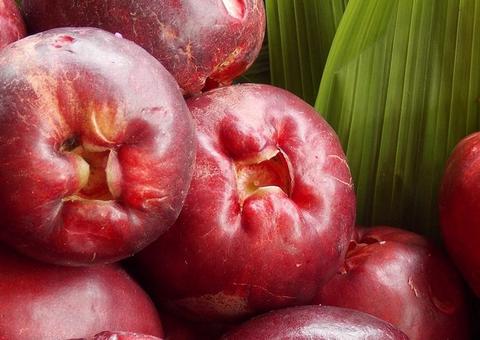 Jambo previne envelhecimento e fortalece imunidade. Conheça benefícios