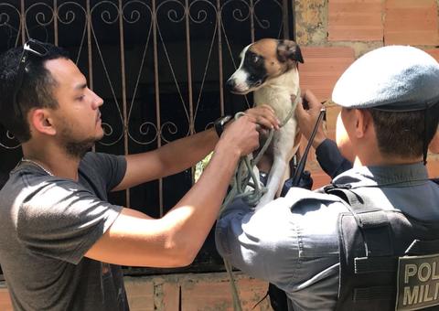 Cachorros sobrevivem a maus-tratos e são resgatados entre 'carcaças' em Manaus