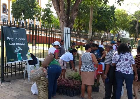'Pedágio Ambiental' vai distribuir 60 mil mudas em Manaus