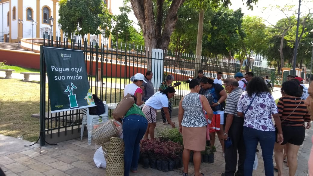 'Pedágio Ambiental' vai distribuir 60 mil mudas em Manaus