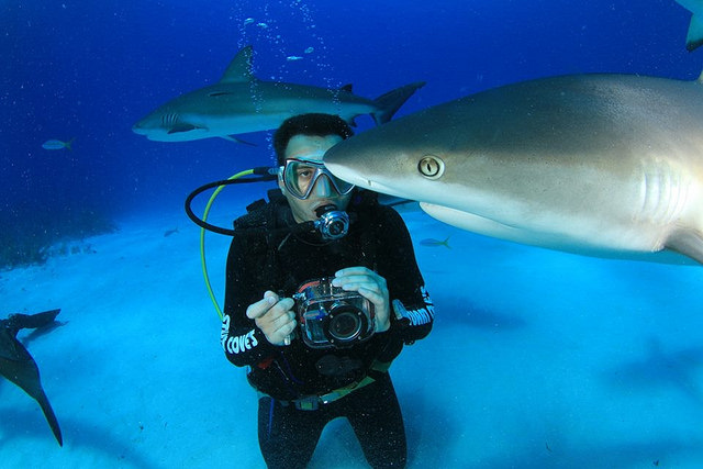 Mergulhador Allan Piccinin promove palestra sobre turismo de mergulho em Manaus