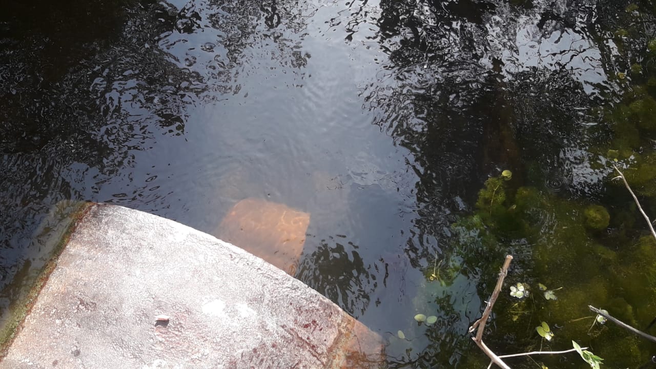 Morador encontra corpo boiando em igarapé de Manaus 