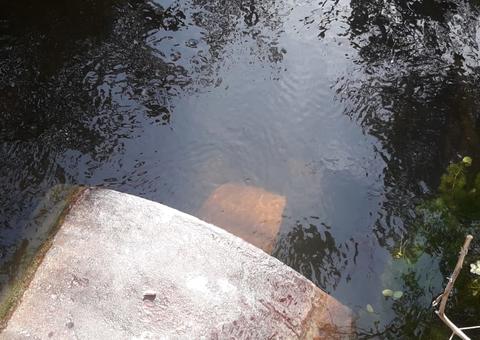 Morador encontra corpo boiando em igarapé de Manaus 