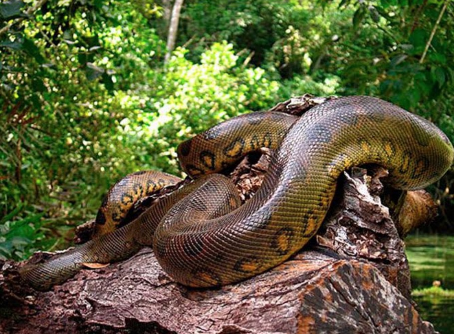 Evento promove discussão sobre tecnologia e meio ambiente