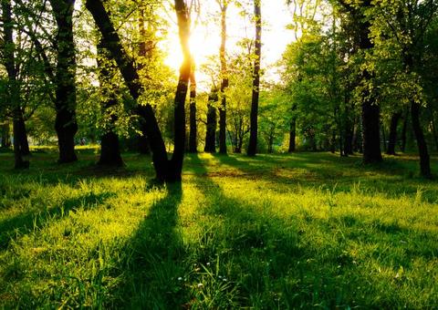 Exposição convida visitantes a refletirem sobre impacto das ações do homem na natureza