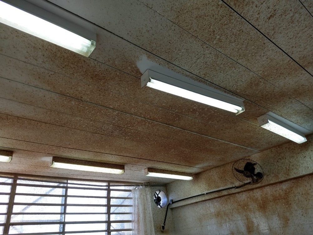 Panela de pressão explode em cozinha de escola e deixa merendeiras feridas