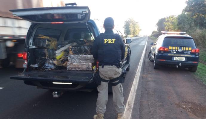 Motorista é preso após capotar carro com 385 kg de maconha