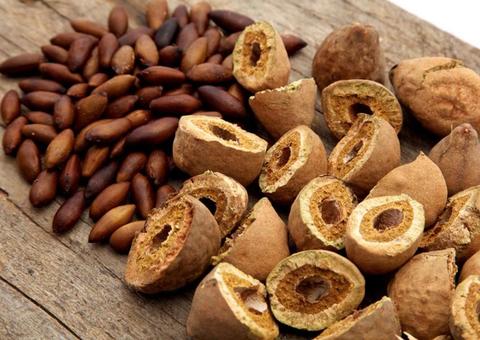 Viagra do Cerrado: Conheça fruto que melhora desempenho sexual