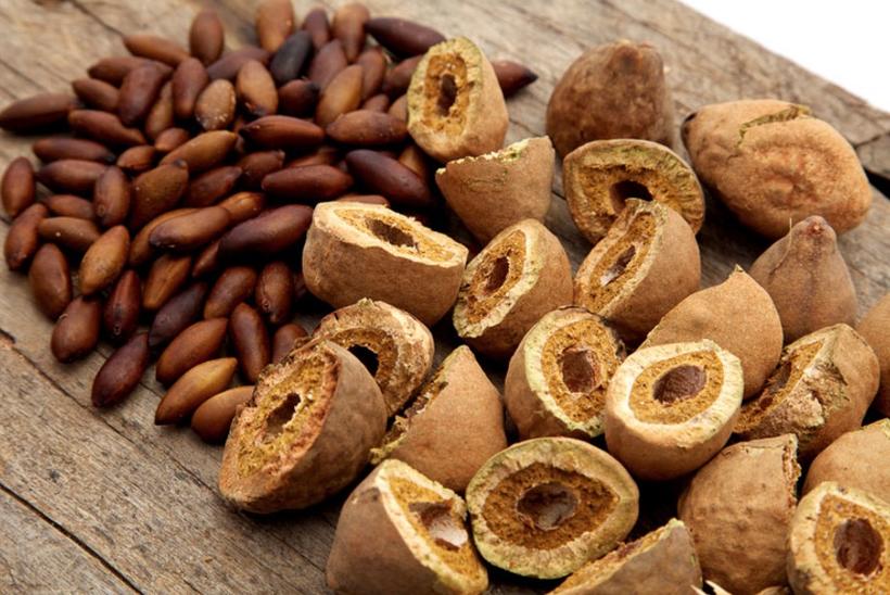 Viagra do Cerrado: Conheça fruto que melhora desempenho sexual