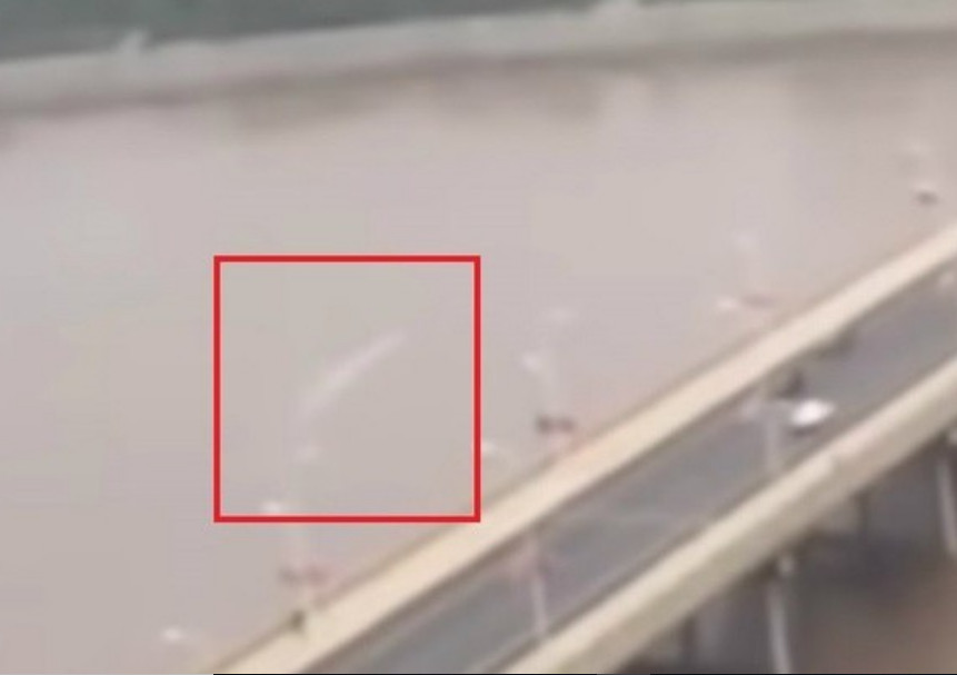 Criatura bizarra é flagrada em rio e imagem intriga internautas