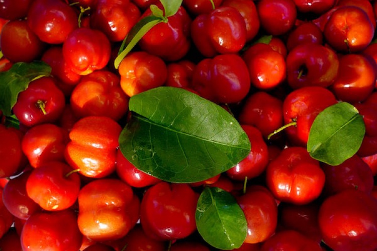 Acerola previne câncer de pulmão e reduz açúcar no sangue, conheça mais benefícios