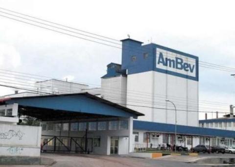 Ambev abre seleção para contratação de estagiários em todo Brasil