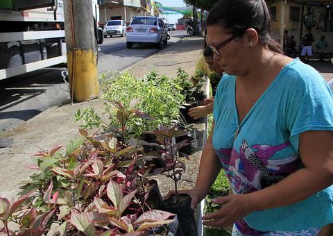 Pedágio ambiental com distribuição gratuita de mudas acontece nesta terça-feira