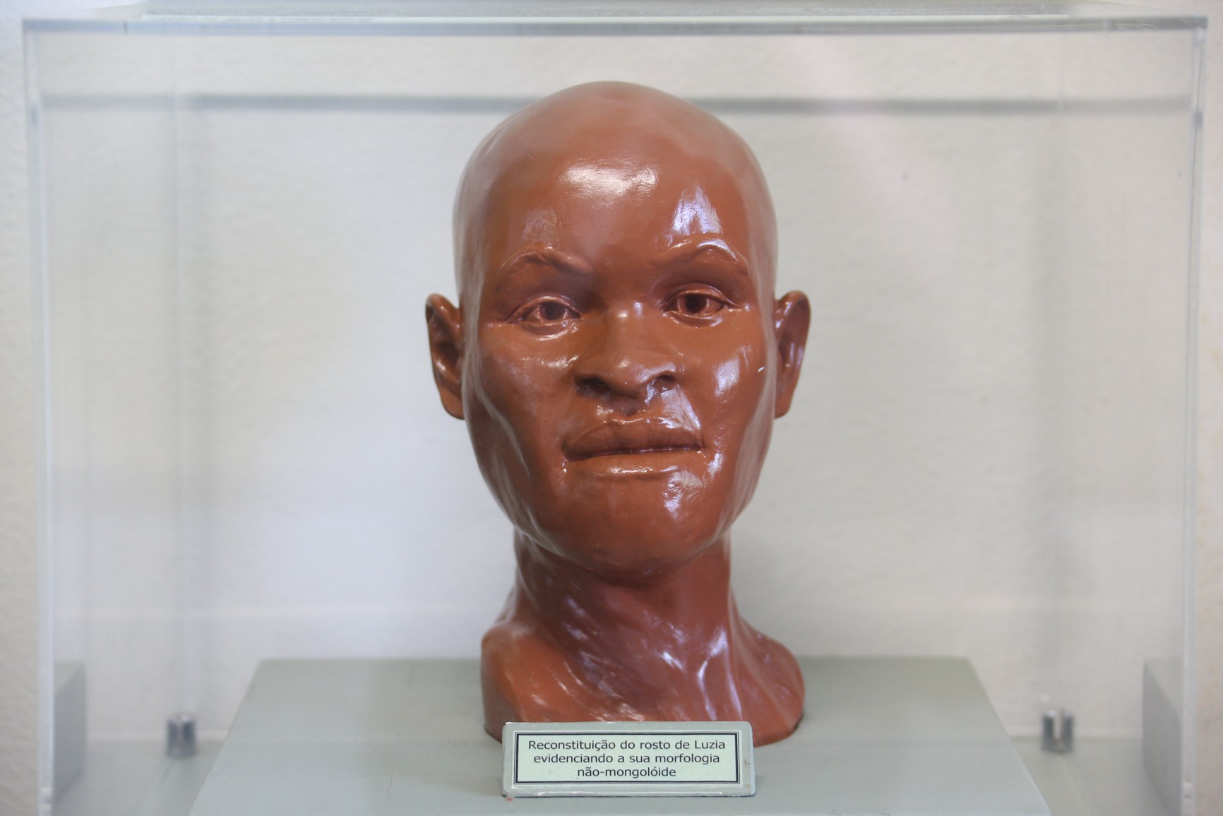 Bombeiro diz ter achado crânio que pode ser de Luzia durante rescaldo no Museu Nacional