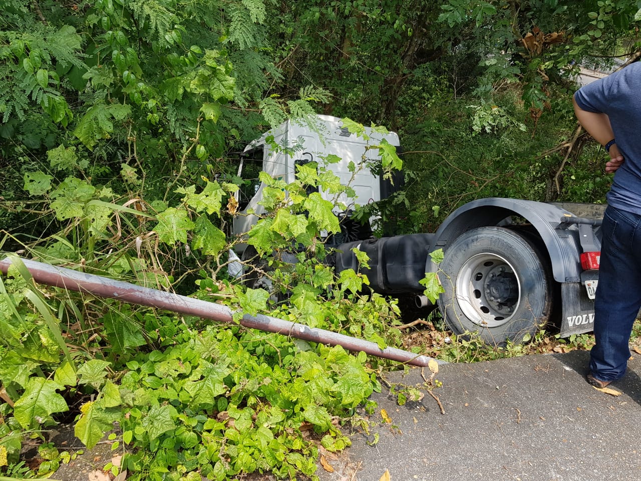 Motorista perde controle de veículo e colide com árvore em Manaus 