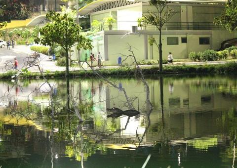 'Lagoa do Japiim' volta a ser alvo de bandidos e tem fiação elétrica furtada