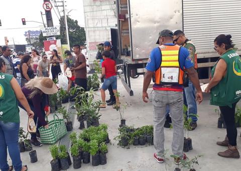 Pedágio ambiental distribui mudas frutíferas, ornamentais e medicinais em bairro de Manaus