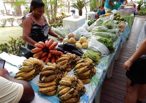 Feira da FAS terá programação gratuita com espaços interativos, produtos regionais e música