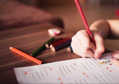 STF decide vetar ensino domiciliar