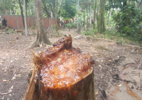 Grupo volta a tentar invadir Corredor do Mindu em Manaus