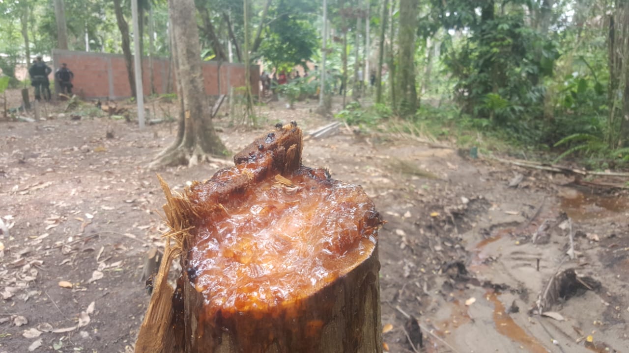 Grupo volta a tentar invadir Corredor do Mindu em Manaus