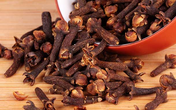 Mastigar cravo-da-Índia acelera metabolismo e melhora hálito, mas nem todos podem usar