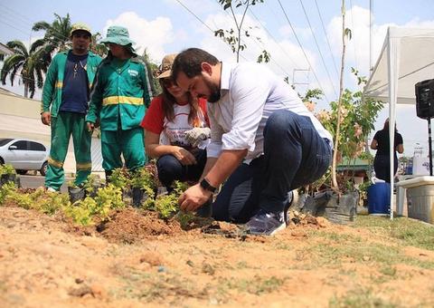 Dia Nacional da Árvore será comemorado nesta sexta com plantio de 300 mudas em área verde
