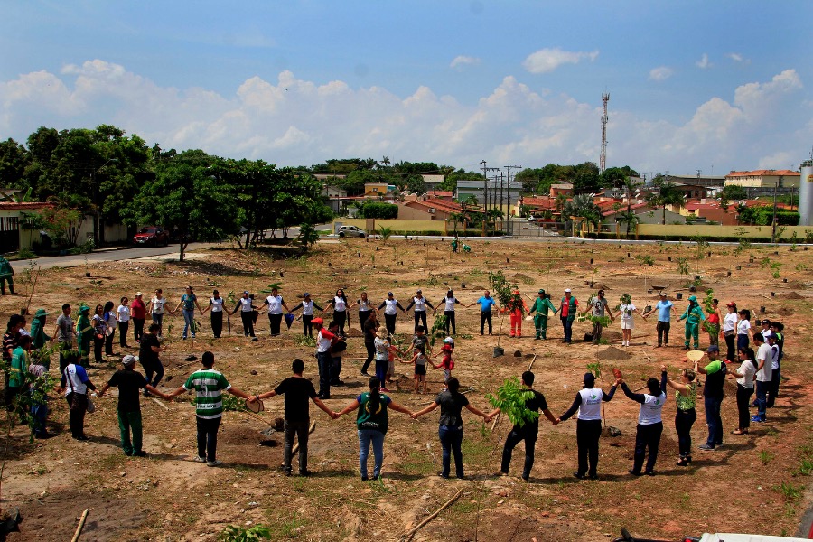 Dia da árvore é comemorado com plantio e distribuição de plantas em Manaus