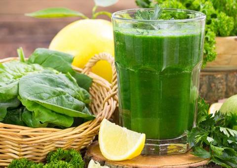 Conheça 6 plantas medicinais que combatem sintomas da gastrite