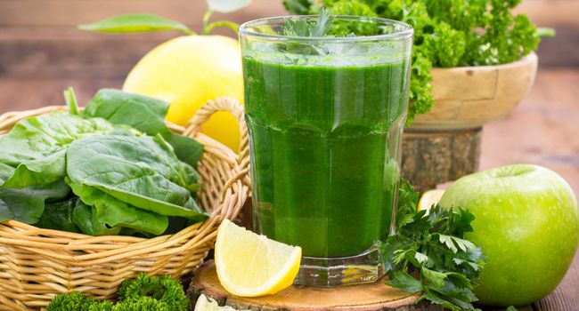 Conheça 6 plantas medicinais que combatem sintomas da gastrite