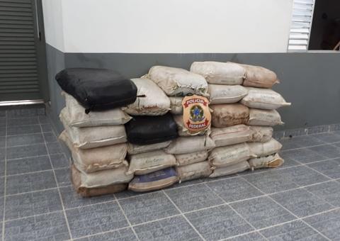 Quatro pessoas são presas com 1,3 toneladas de pirarucu no Amazonas