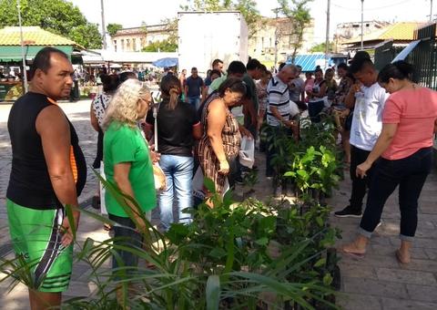 Pedágio Ambiental vai distribuir 600 mudas de várias espécies nesta quarta